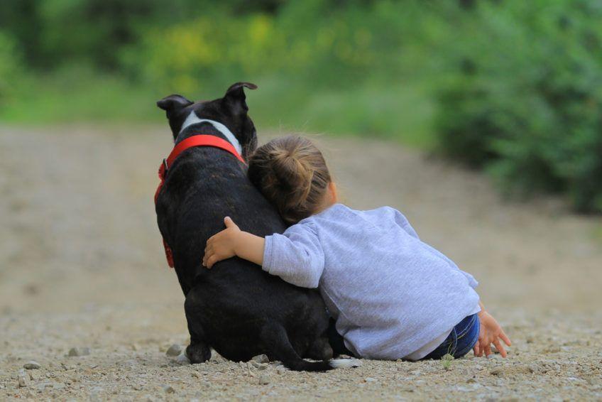 Dziecko przytula się do psa