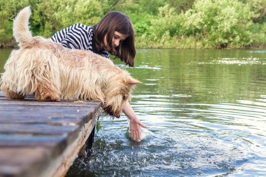 Dziewczynka z psem rasy terier szkocki nad wodą