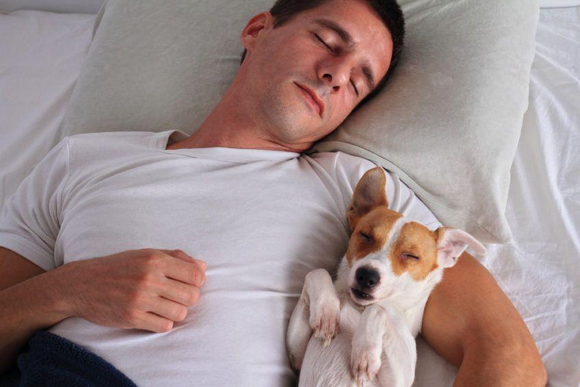 Mężczyzna i pies śpią razem