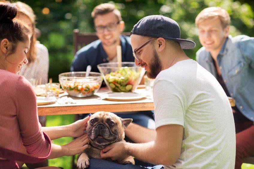 spotkanie z przyjaciółmi i pies pod stołem