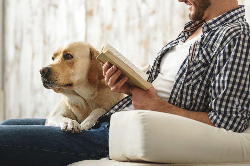 pan czyta książkę, a pies leży mu na kolanach