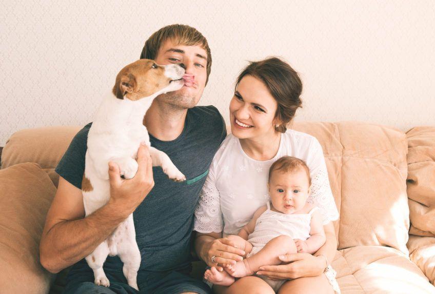 Rodzinne zdjęcie na kanapie z psem i małym dzieckiem
