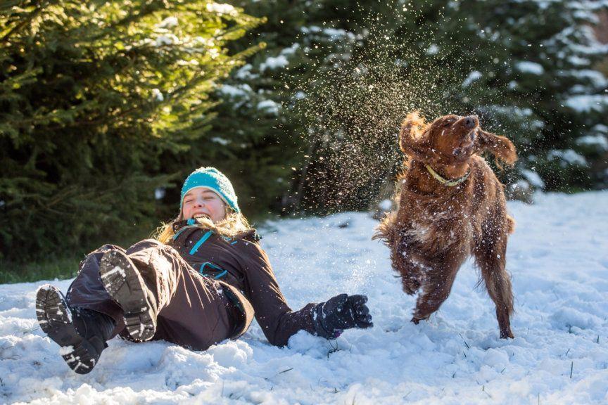 Jak przygotować psa do zimy