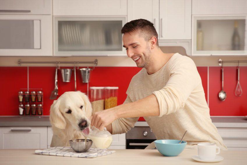 Mężczyzna nalewa psu mleko do miseczki