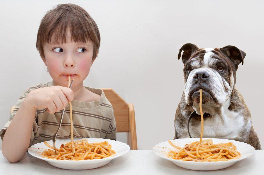Chłopiec z psem siedzą przy stole i jedzą makaron