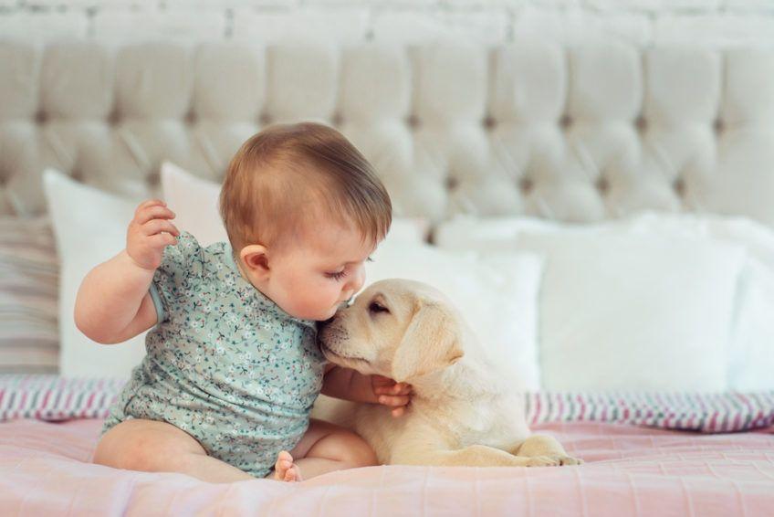 Małe dziecko całuje szczeniaka