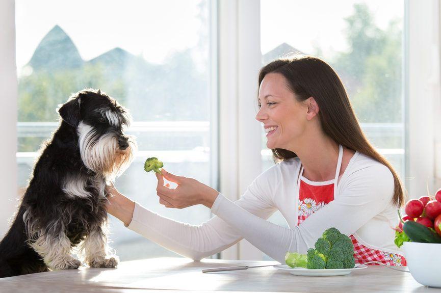 Kobieta karmi psa warzywami