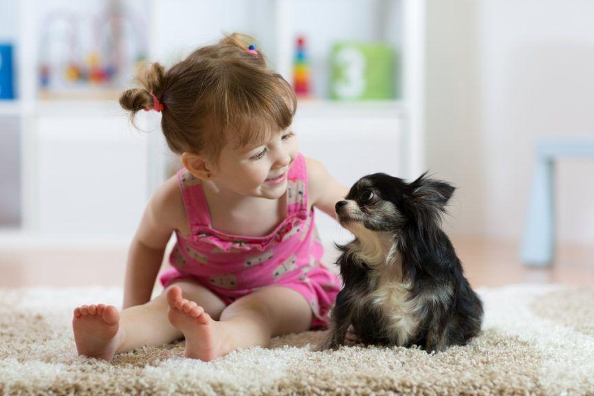 dziecko siedzące na psie, dziewczynka głaszcze psa