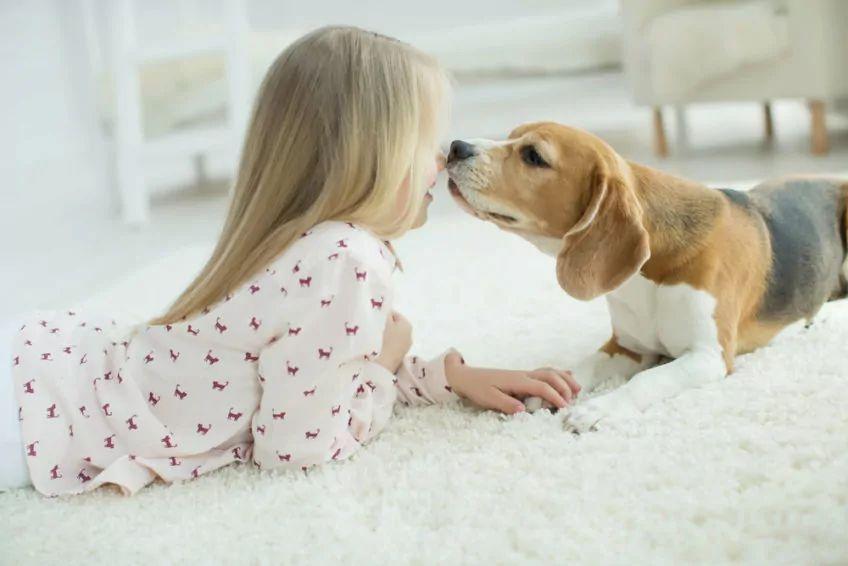 dziewczynka z psem