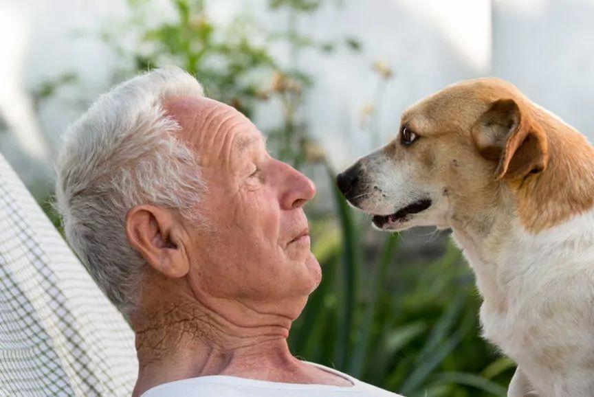 starszy pan i pies patrzą sobie w oczy