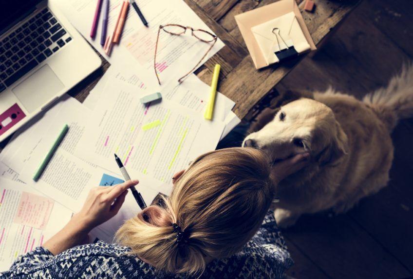 Pies siedzi obok pani, która ma rozłożone przed sobą notatki