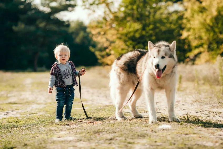 Mały chłopiec z psem na spacerze