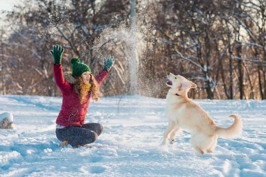 Spacer z psem zimą