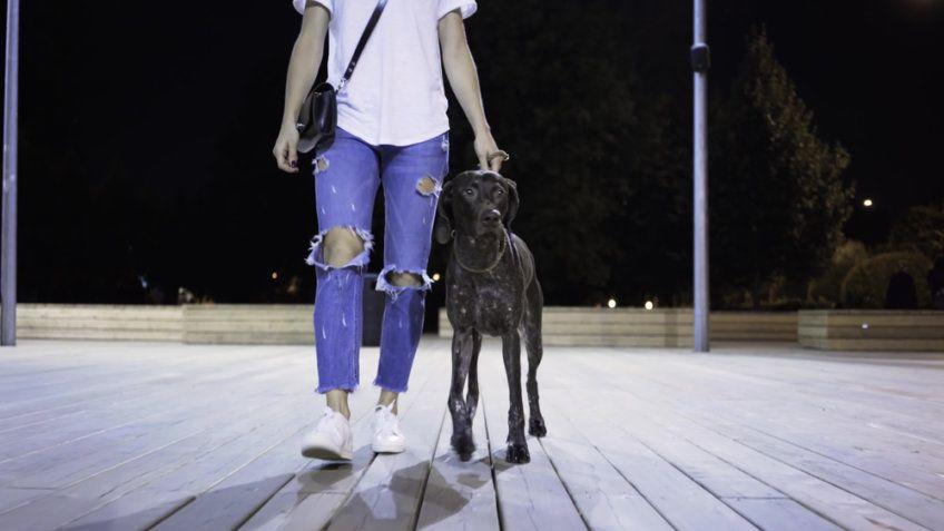 nocny spacer z psem