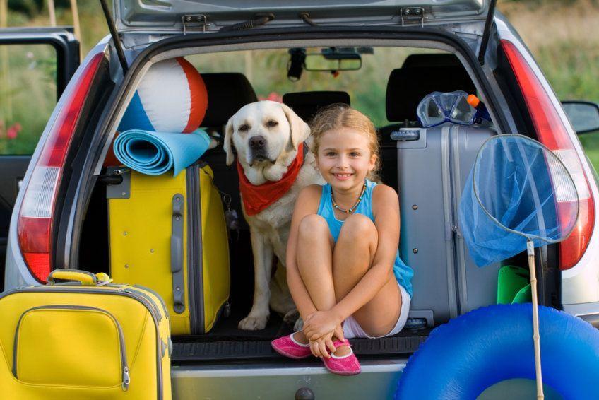dziewczynka z psem w bagażniku