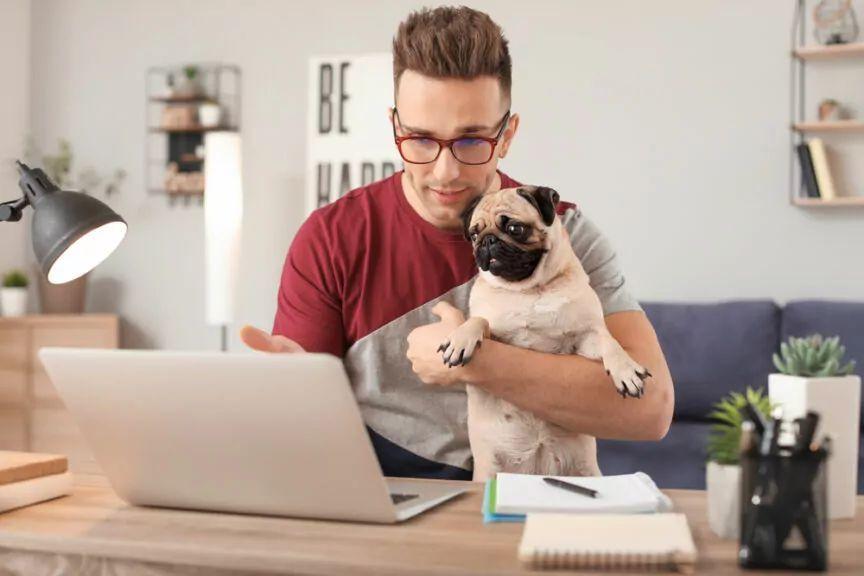 szkolenie psów online