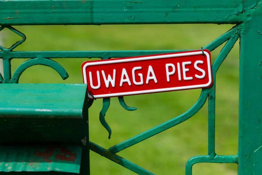tabliczka "UWAGA PIES"