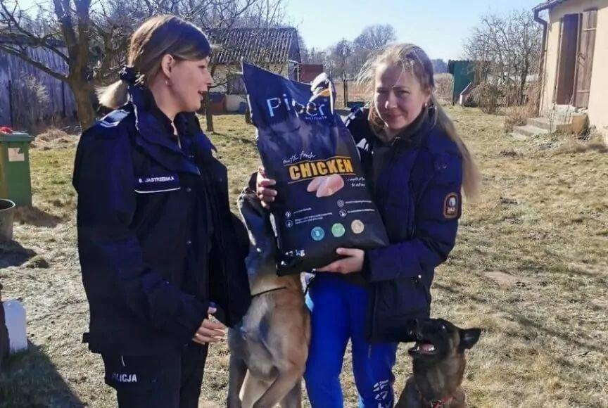 uratowane psy policyjne z Charkowa Ukraina