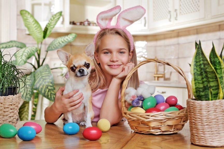 Wielkanoc - czym poczęstować psa