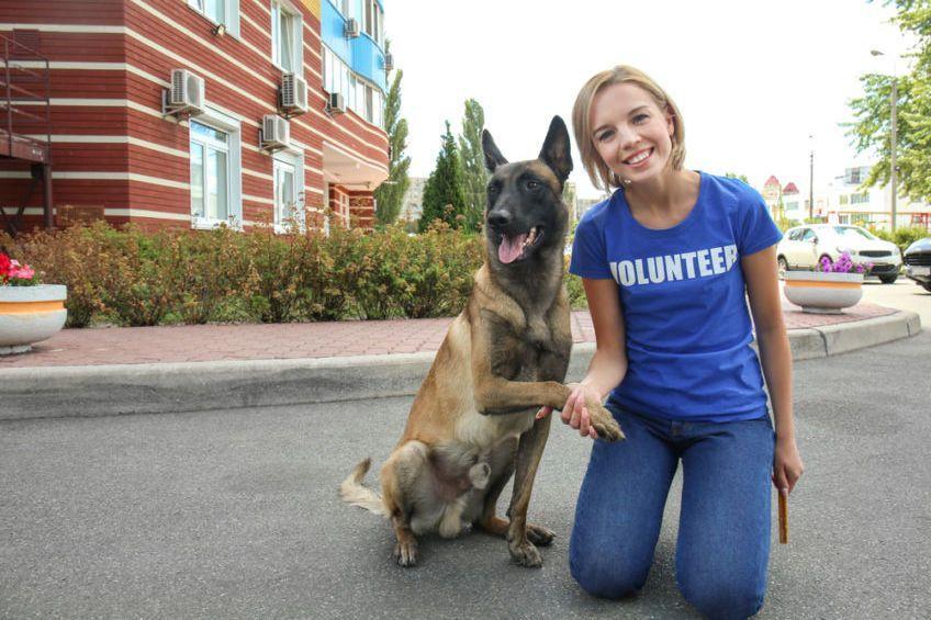 wolontariuszka z psem