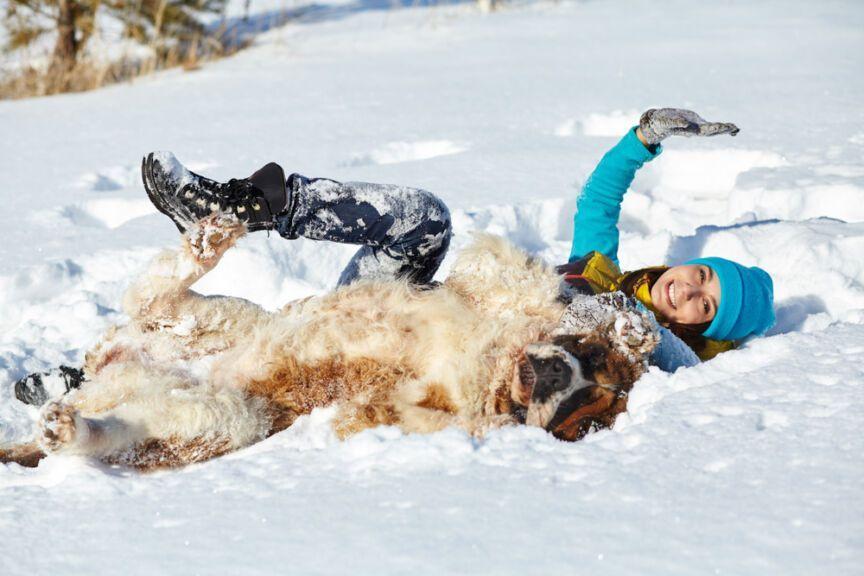 zabawy z psem na śniegu