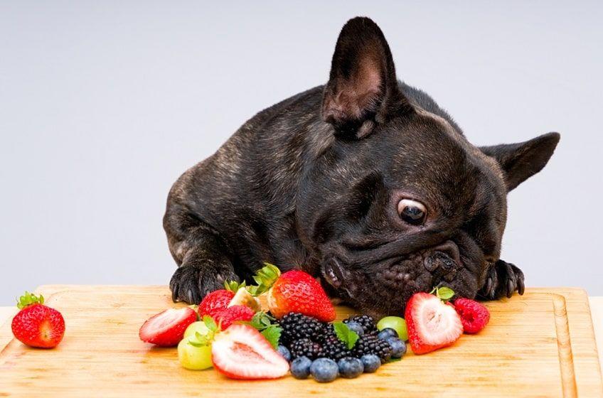 zdrowe owoce dla psa-min.jpg