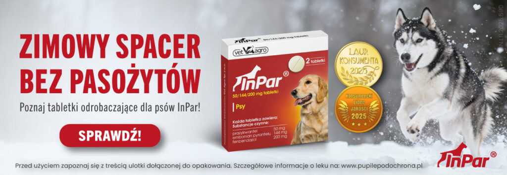 inpar husky