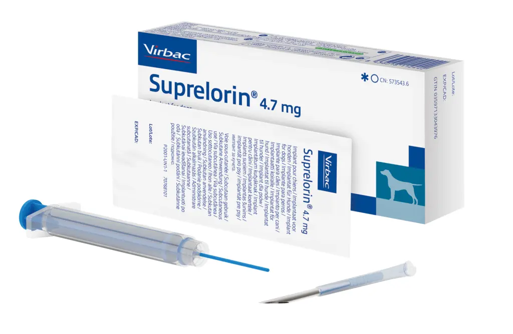 kastracja chemiczna psa