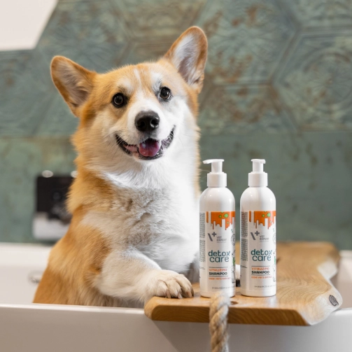 vet-expert-detox-care-vitalizing-zestaw-witalizujaco-ochronny-szampon-i-odzywka