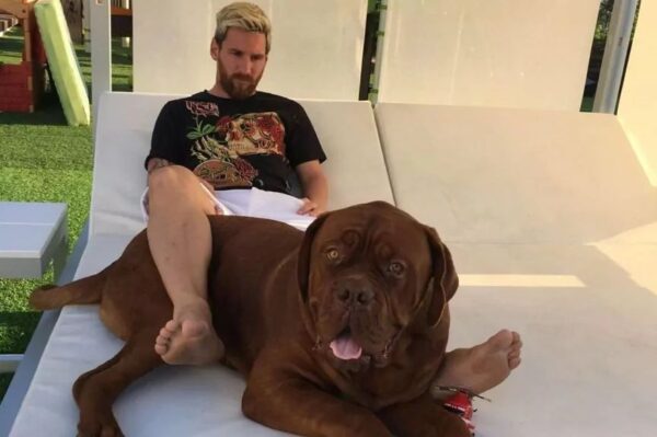 Wiedzieliście, że Leo Messi ma psa? I to jakiego! Właśnie pokazał, jak z nim trenuje