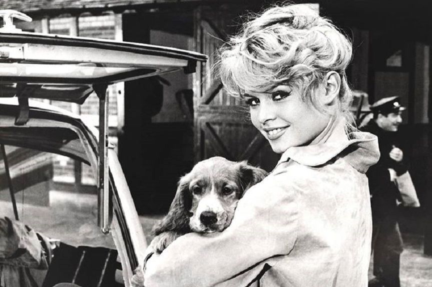 Bardot pisze do Łukaszenki