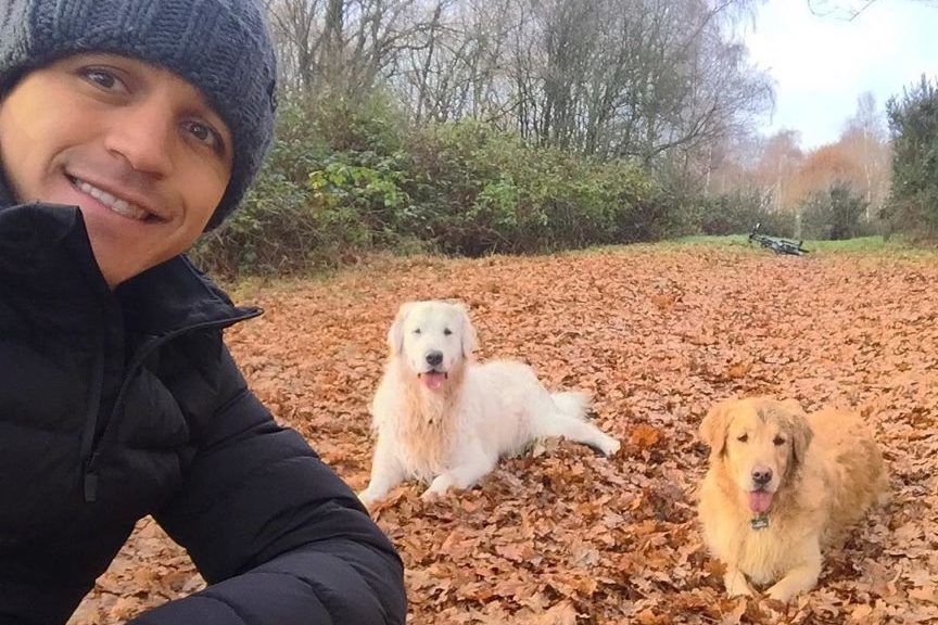 Alexis Sanchez, Amber i Humber