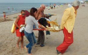 Labrador niesiony z plaży