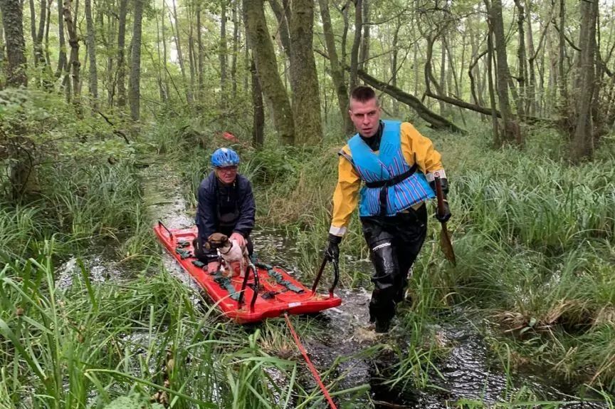 utknął w bagnie ratując psa