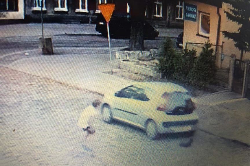 Kierowca przejechał psa
