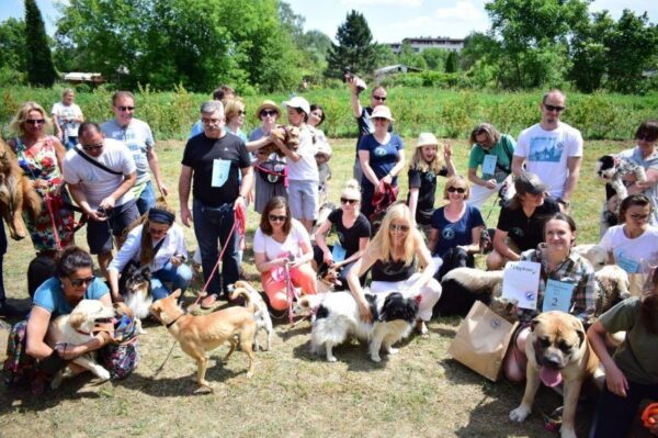 psi park mieszkańcy mokotowa
