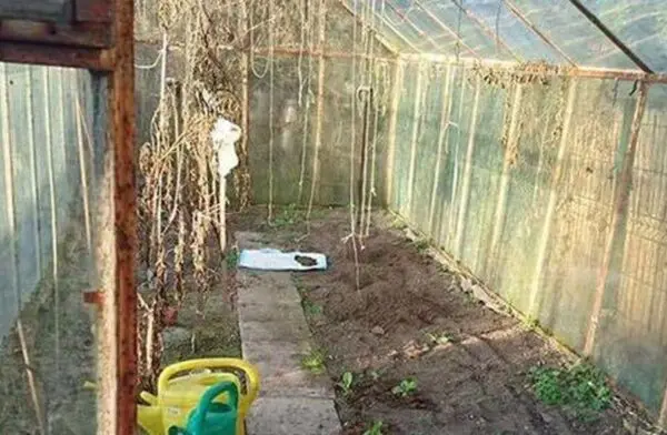 Za topienie szczeniaków prace społeczne?