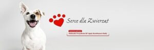 nowa strona serce dla zwierząt