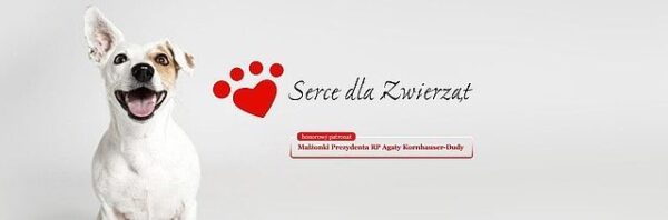 nowa strona serce dla zwierząt