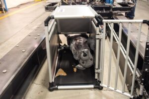Crash test