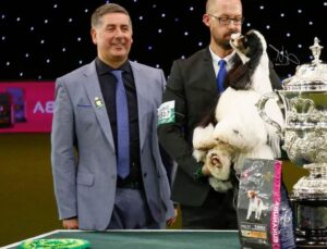 Zwycięzca Crufts 2017