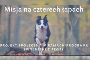 misja na czterech łapach