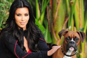 Kim Kardashian i pies Rocky