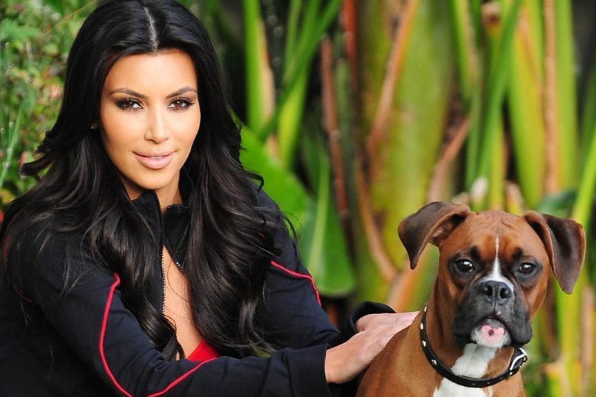 Kim Kardashian i pies Rocky