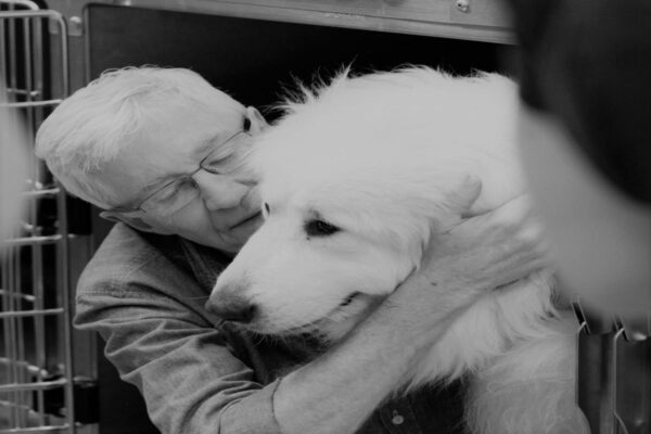 Paul O'Grady nie żyje. Fani oddając hołd zasilili konto schroniska
