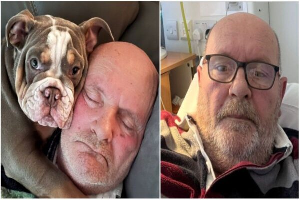 Pies prawie odgryzł opiekunowi palec