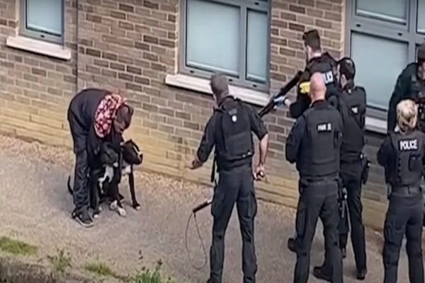 Policjanci zabili dwa psy