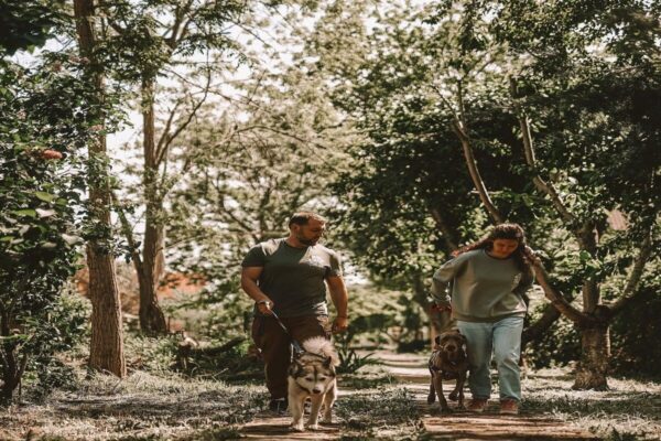 Ukraińscy weterynarze ryzykują życie, by ocalić zwierzęta