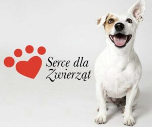 Grafika Serce dla Zwierząt