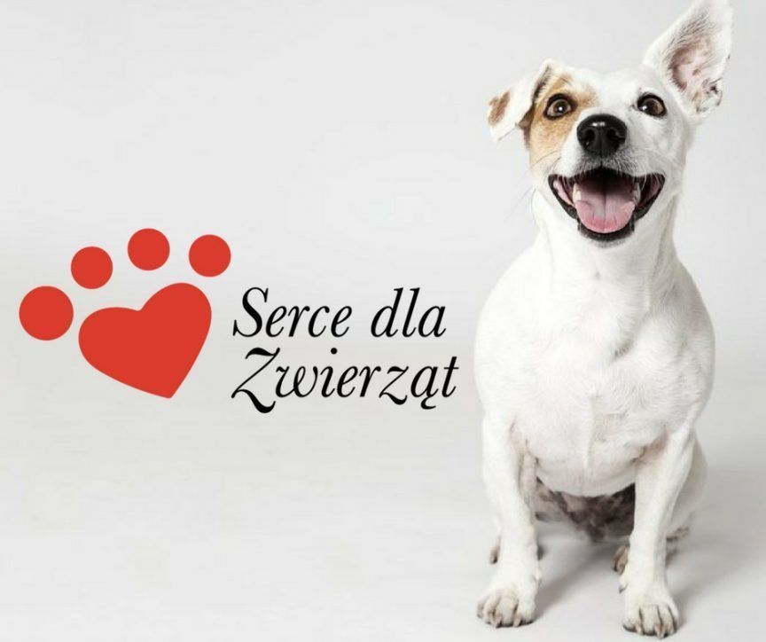 Grafika Serce dla Zwierząt